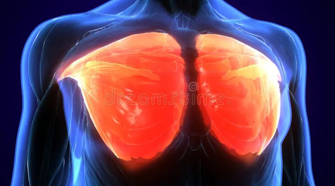 Ρήξη μείζονα θωρακικού μυ