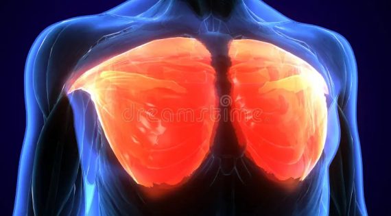 Ρήξη μείζονα θωρακικού μυ